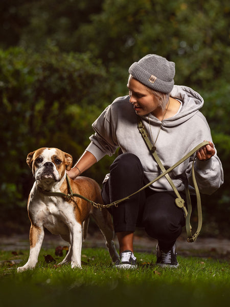 Hunde Zugstopp Halsband und Fuehrleine verstellbar mit Kotbeutelhalter