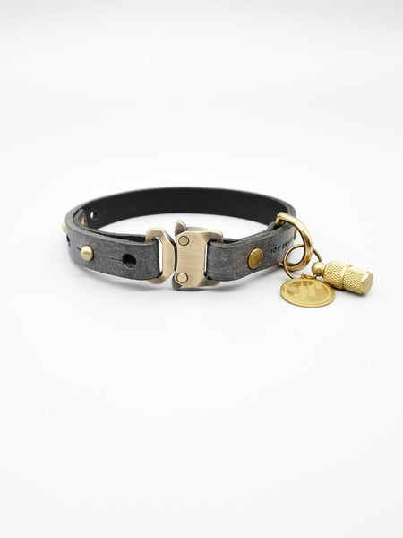 Hundehalsband Leder Farbe Dunkelgrau mit Schnellverschluss und Adressanhaenger personalisierbar