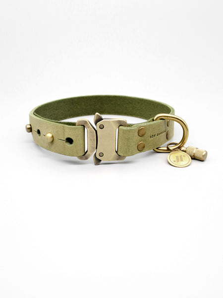 Hundehalsband Leder Farbe Mint mit Schnellverschluss aus Messing Massangefertigt mit Namen personalisierbar