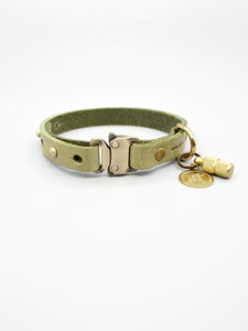 Hundehalsband Leder Farbe Mint mit Schnellverschluss und Adressanhaenger personalisierbar