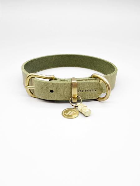 Hundehalsband Leder Farbe Mint mit verstellbarem Messing Verschluss und Adressanhaenger personalisierbar